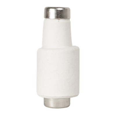 Patron Fuzibil 25A