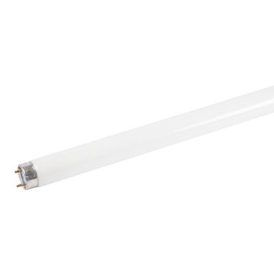Tub Fluorescent T8