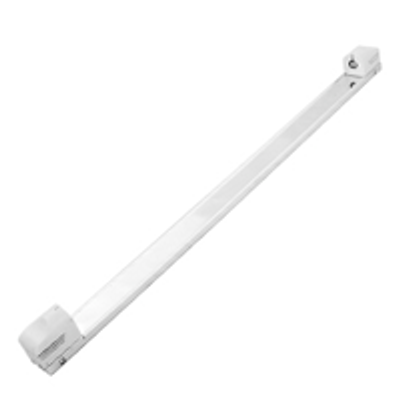Corp Neon Sorum 1x36W