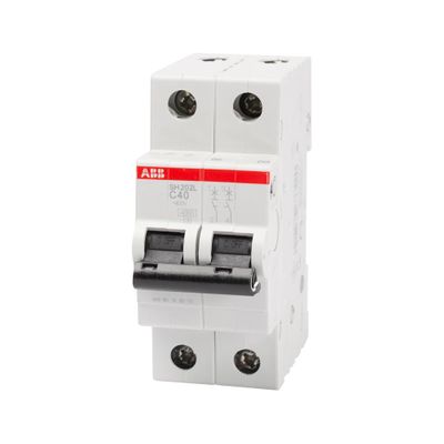 Intrerupator Automat 40A 2P C 4.5Ka SH202-L