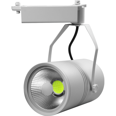 Proiector Sina LED 20W CW Alb