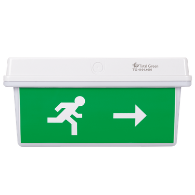 Lampa Exit LED IP65 30x0.1W Display ST/DR