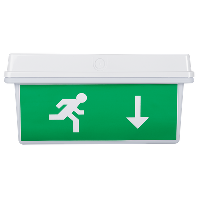 Lampa Exit LED IP65 30x0.1W Display Jos