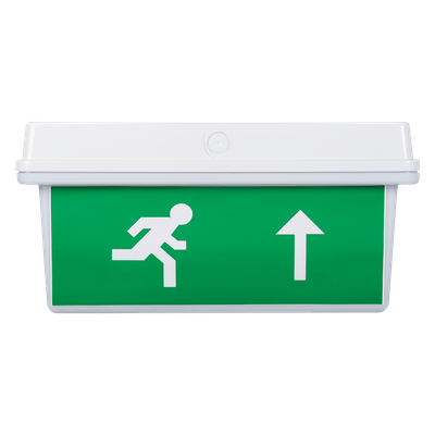 Lampa Exit LED IP65 30x0.1W Display Sus