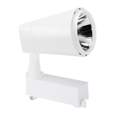 Proiector Sina LED 20W CW Alb, NV-3105.0420