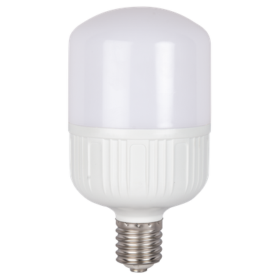 Bec LED 40W E40 6500K