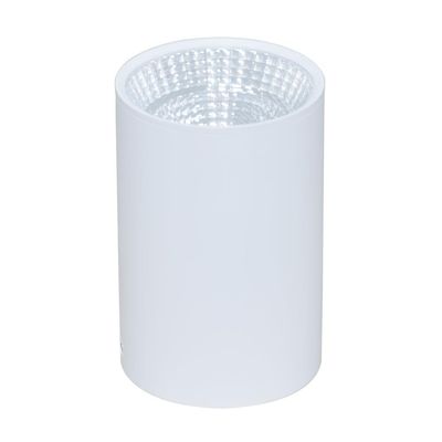 Spot LED Bart 18W 6500K alb, Erste