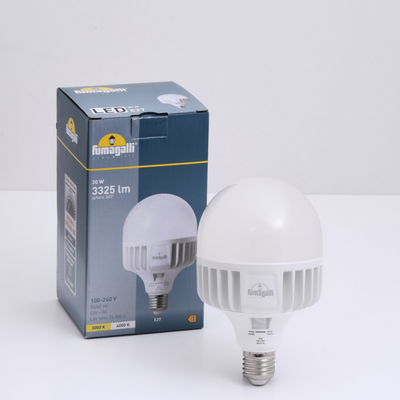 Bec LED High power 30W E27 CCT, Fumagalli